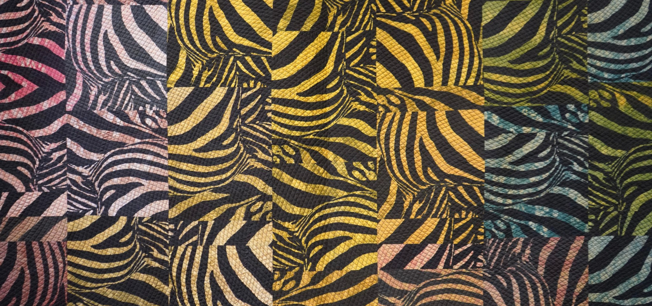 Detroit Zoo Discovery Trails project to open in 2026